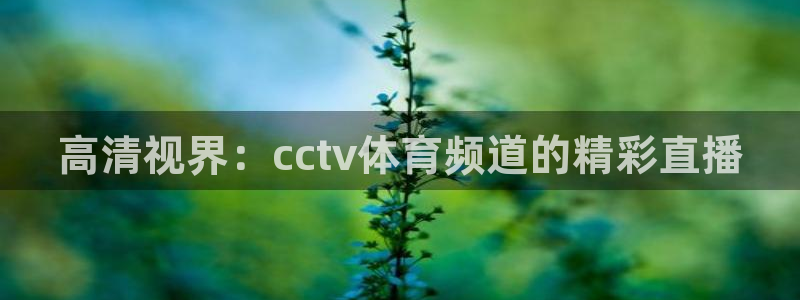 鲸鱼体育直播在线观看免费：高清视界：cctv体育频道的精彩直播