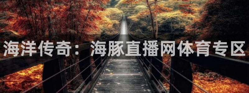鲸鱼体育免费观看入口：海洋传奇：海豚直播网体育专区