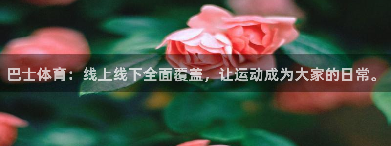 鲸鱼体育直播在线观看：巴士体育：线上线下全面覆盖，让运动成为大家的日常。