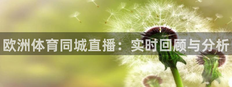 鲸鱼tv直播：欧洲体育同城直播：实时回顾与分析