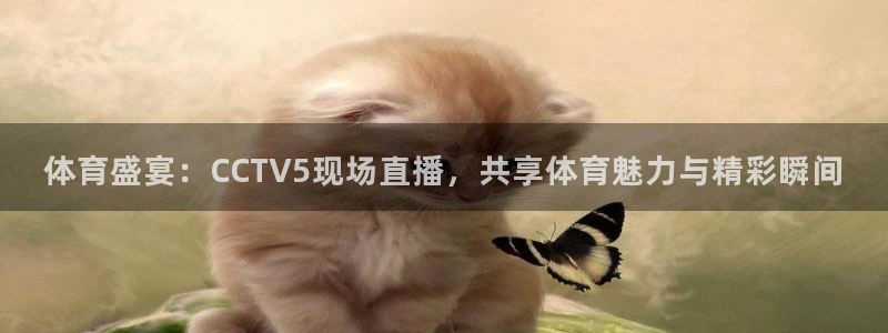 鲸鱼直播足球：体育盛宴：CCTV5现场直播，共享体育魅力与精彩瞬间