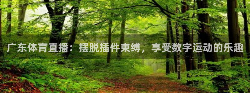 鲸鱼体育app下载：广东体育直播：摆脱插件束缚，享受数字运动的乐趣
