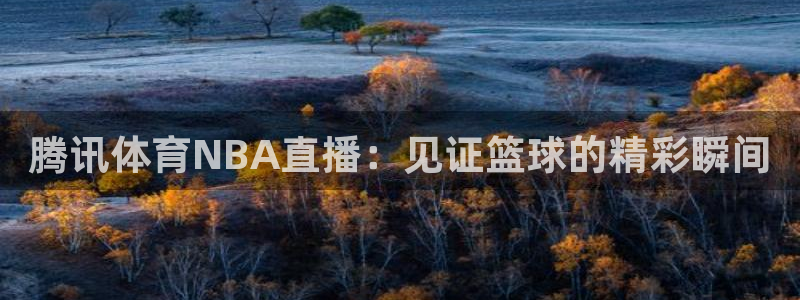nba直播鲸鱼：腾讯体育NBA直播：见证篮球的精彩瞬间