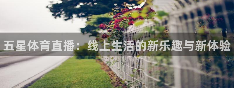 鲸鱼体育nba直播在线观看：五星体育直播：线上生活的新乐趣与新体验