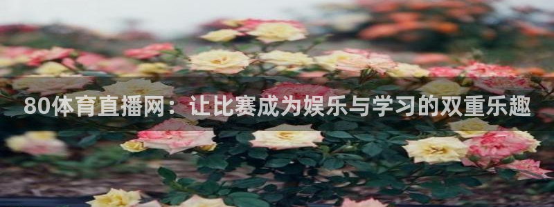 鲸鱼体育直播在线观看免费：80体育直播网：让比赛成为娱乐与学习的双重乐趣