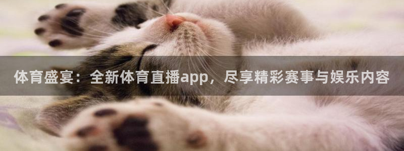 jytv鲸鱼体育：体育盛宴：全新体育直播app，尽享精彩赛事与娱乐内容