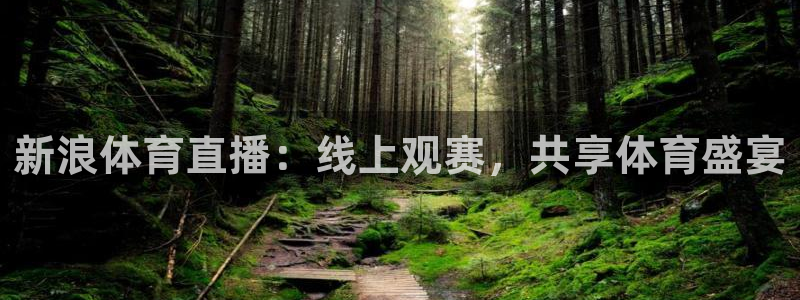 鲸鱼体育tv直播：新浪体育直播：线上观赛，共享体育盛宴